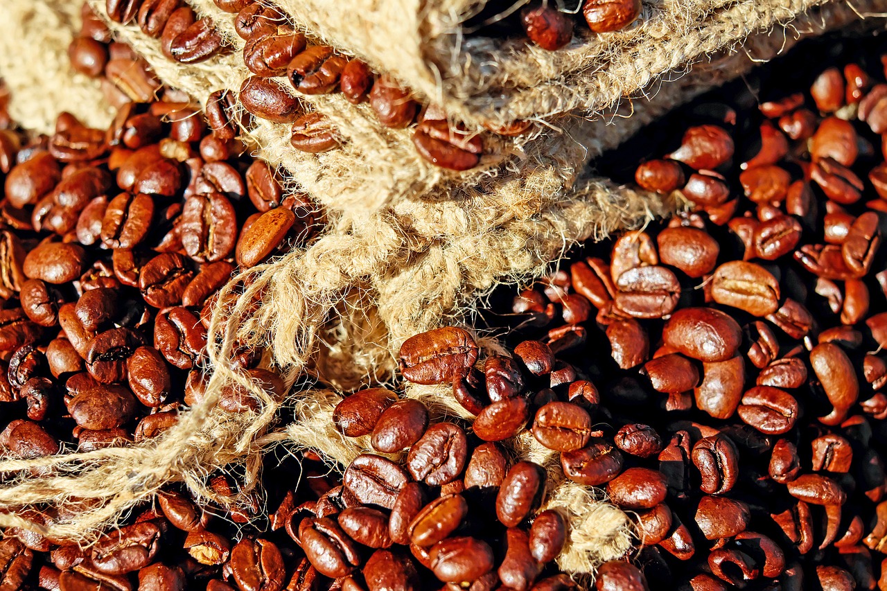 Top Sustainable Coffee Brands to Support